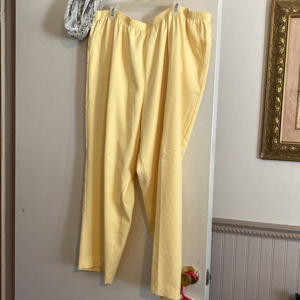 Pants - Picture 5 of 12
